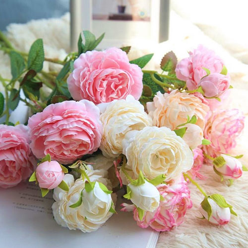 Aroma Scenting